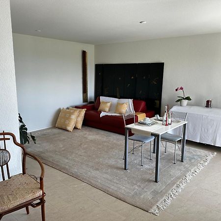 Lakeview Apartment-Lavaux Grandvaux Zewnętrze zdjęcie