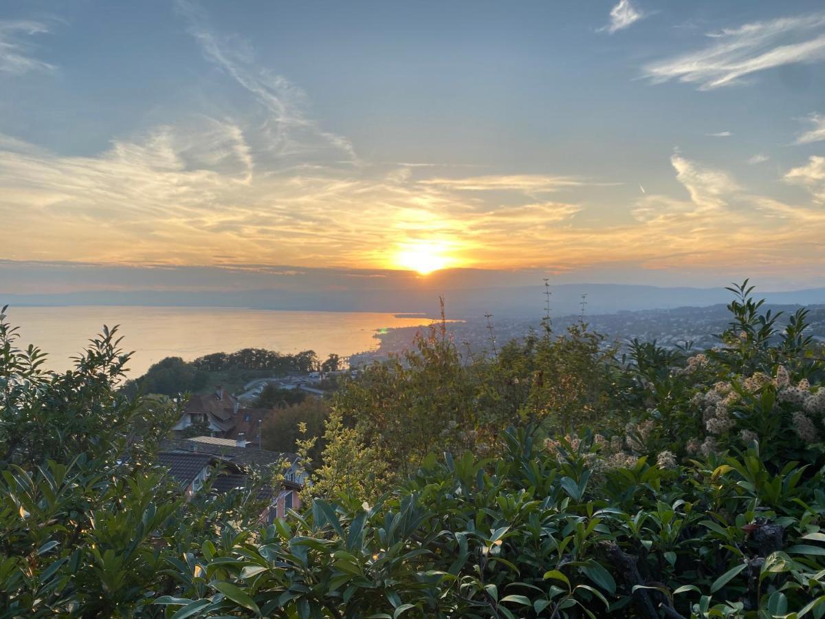 Lakeview Apartment-Lavaux Grandvaux Zewnętrze zdjęcie